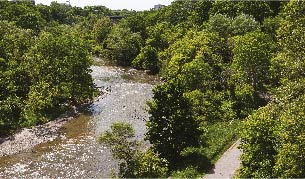 <h1>NATURE</h1><p>The Humber River Recreational Trail/Bike Path is literally in your own backyard.</p>